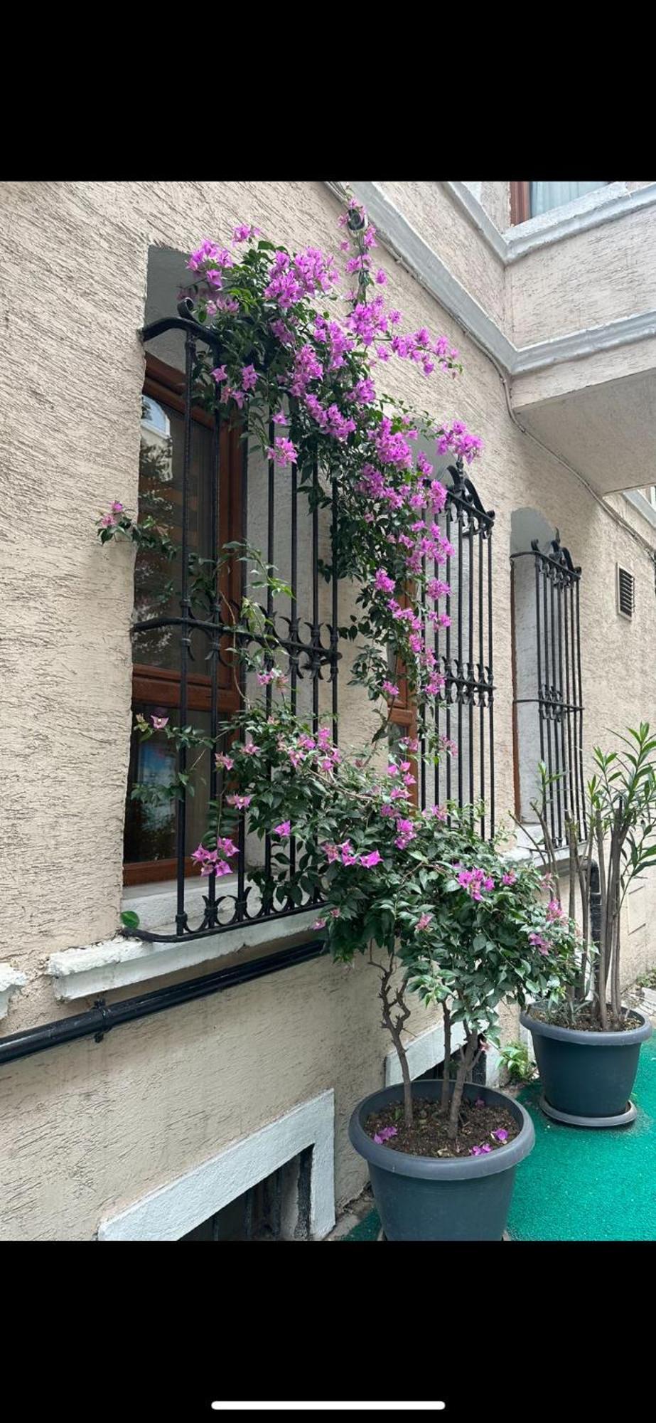 Hotel Orkide — Fotos 1